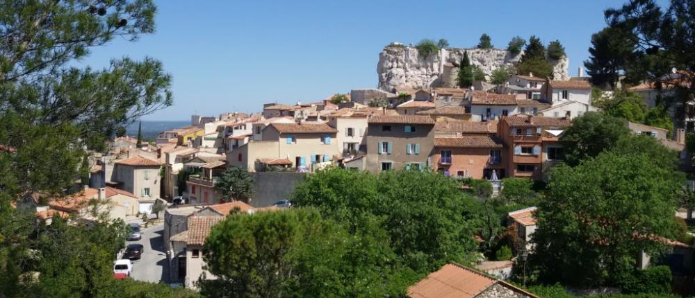 Tout ce que vous devez savoir sur Bouc Bel Air !